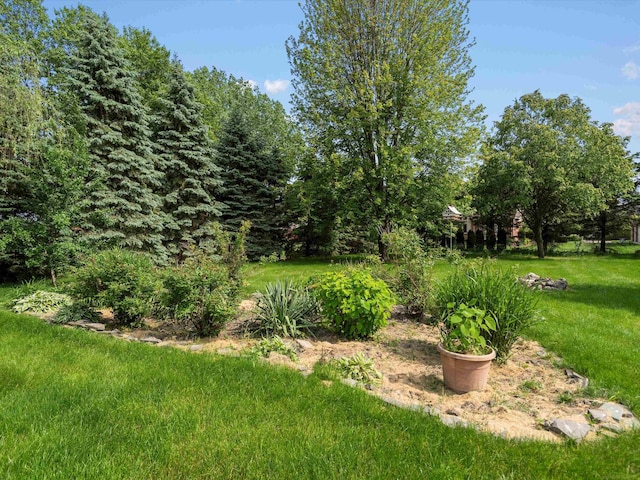 15158 Towering Oaks Dr, Shelby Twp, MI 48315 - view of green lawn