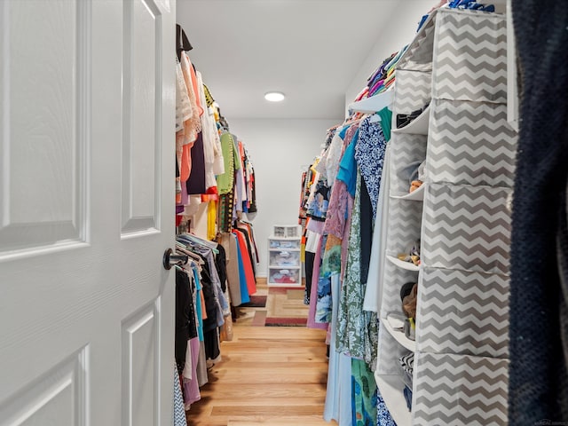 15158 Towering Oaks Dr, Shelby Twp, MI 48315 - spacious closet with light wood finished floors