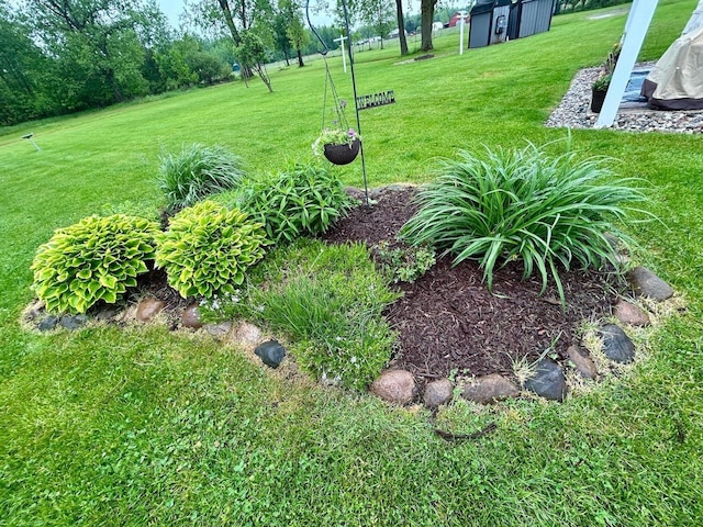 6586 N Coleman Rd, Coleman, MI 48618 - view of green lawn