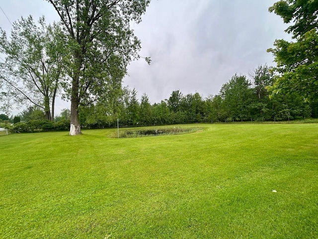 6586 N Coleman Rd, Coleman, MI 48618 - view of green lawn featuring a water view