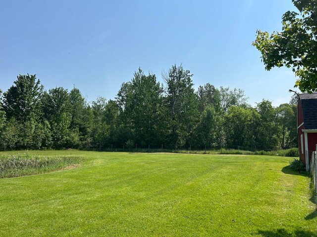 6586 N Coleman Rd, Coleman, MI 48618 - view of green lawn featuring a wooded view