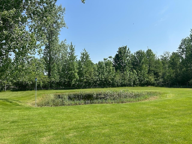 6586 N Coleman Rd, Coleman, MI 48618 - view of grassy yard with a forest view