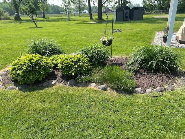 6586 N Coleman Rd, Coleman, MI 48618 - view of green lawn
