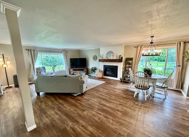 6586 N Coleman Rd, Coleman, MI 48618 - living area with a textured ceiling, ornamental molding, dark wood-type flooring, a fireplace, and a chandelier