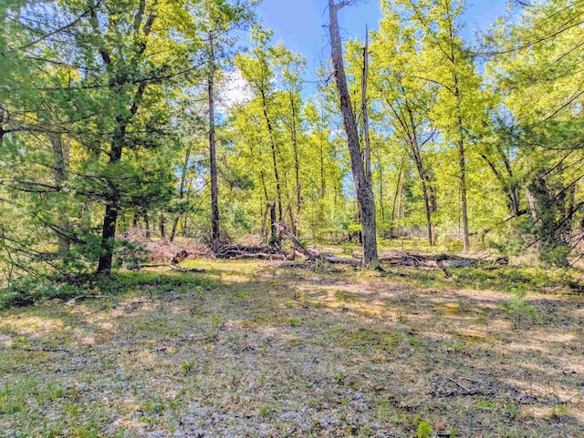 Cranberry Dr, Alger, MI 48610