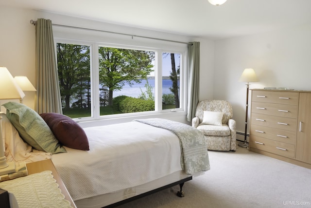 1426 Washington St, Munising, MI 49862 - bedroom with multiple windows, light carpet, and baseboard heating
