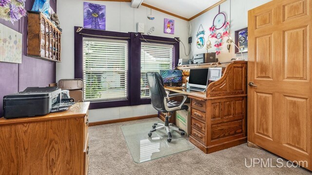 11745 T Rd, Rapid River, MI 49878 - office area with carpet floors, ornamental molding, vaulted ceiling, and baseboards