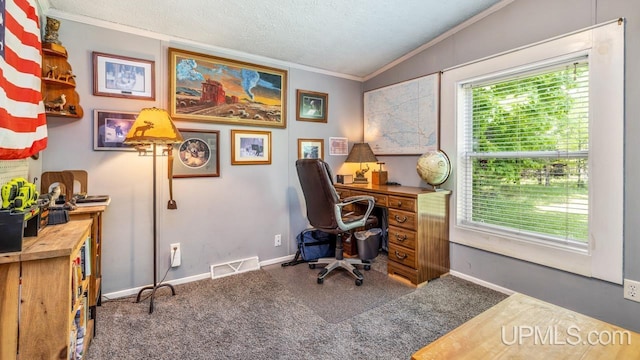 11745 T Rd, Rapid River, MI 49878 - carpeted home office with crown molding, baseboards, and a textured ceiling