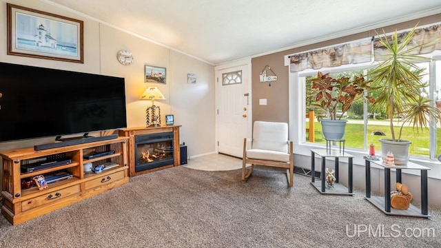 11745 T Rd, Rapid River, MI 49878 - living area with ornamental molding, carpet flooring, a fireplace, and baseboards