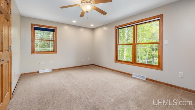 W5716 Warner Ln, Norway, MI 49870 - spare room featuring plenty of natural light, light carpet, baseboards, and recessed lighting