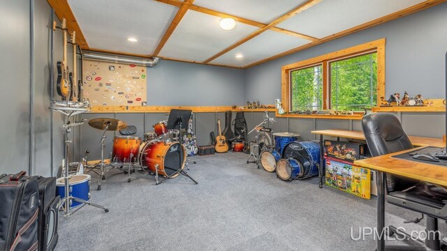 W5716 Warner Ln, Norway, MI 49870 - recreation room with carpet, a workshop area, recessed lighting, and a desk