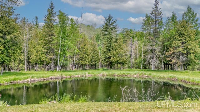 W5716 Warner Ln, Norway, MI 49870 - water view featuring a heavily wooded area