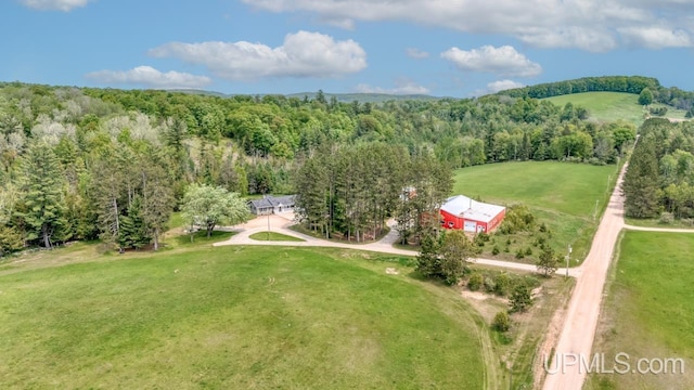 W5716 Warner Ln, Norway, MI 49870 - bird's eye view of a forest
