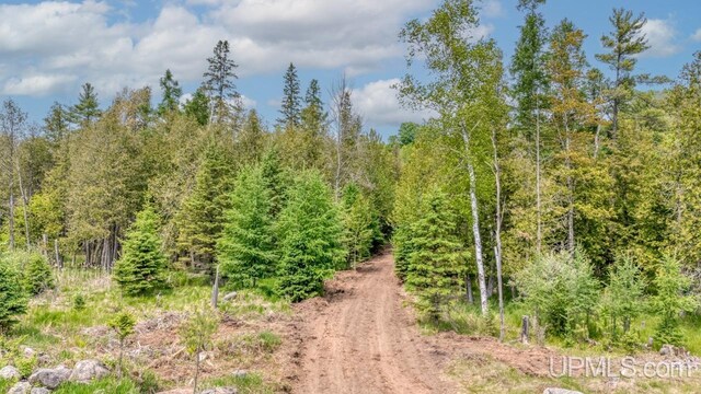 W5716 Warner Ln, Norway, MI 49870 - view of wooded area