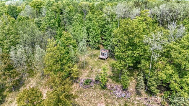 W5716 Warner Ln, Norway, MI 49870 - bird's eye view of a forest