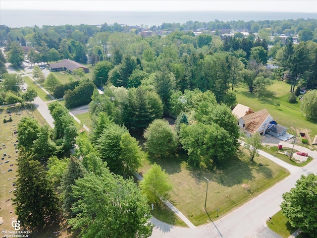 7150 Denissen St, Lexington, MI 48450 - bird's eye view