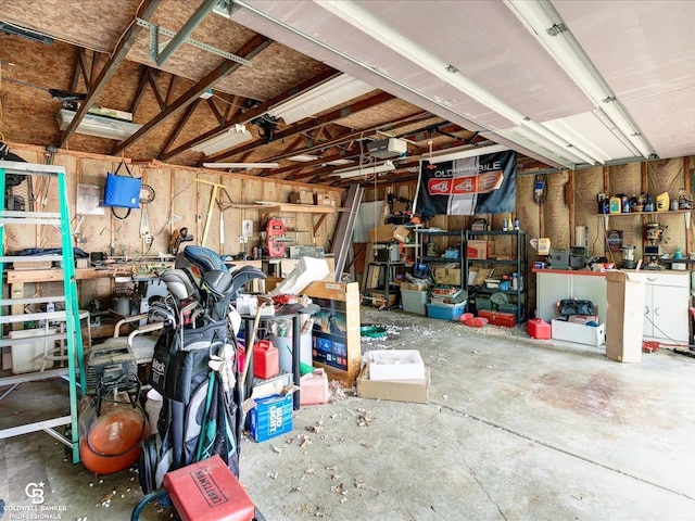 7150 Denissen St, Lexington, MI 48450 - garage featuring a workshop area and a garage door opener