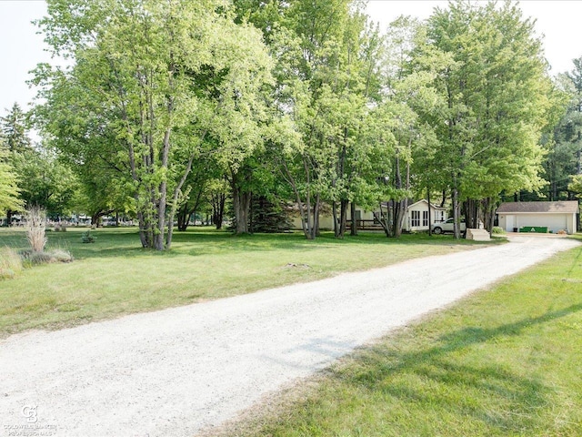 7150 Denissen St, Lexington, MI 48450 - view of road with view of wooded area