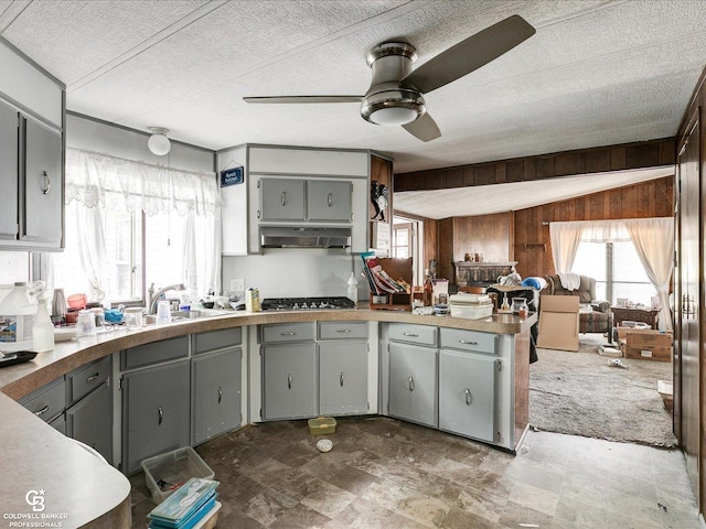 7150 Denissen St, Lexington, MI 48450 - kitchen with ceiling fan, gray cabinets, stainless steel gas cooktop, a peninsula, and a textured ceiling