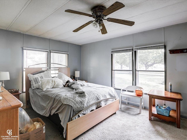 7150 Denissen St, Lexington, MI 48450 - carpeted bedroom with multiple windows and ceiling fan