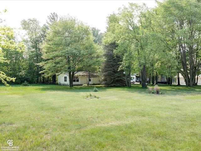7150 Denissen St, Lexington, MI 48450 - view of green lawn