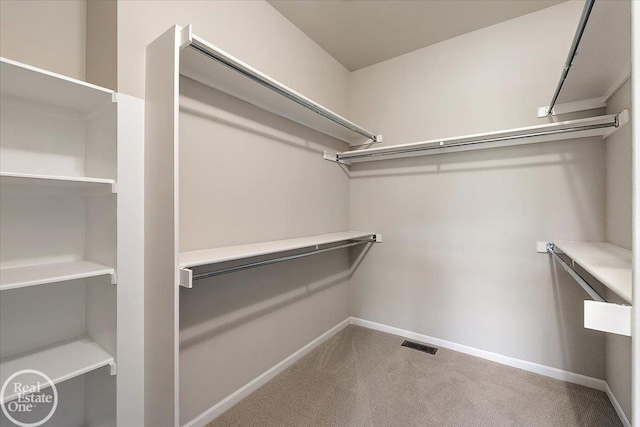 3091 Bridgewater Rd Unit # 28, Auburn Hills, MI 48326 - spacious closet with carpet floors