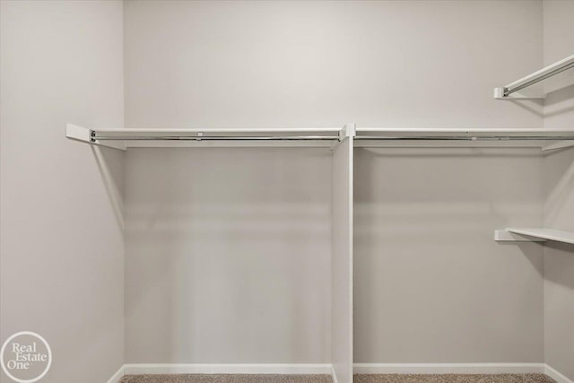 3095 Bridgewater Rd Unit # 30, Auburn Hills, MI 48326 - spacious closet with carpet