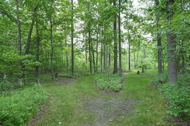 14810 28 Mile Rd, Washington, MI 48094 - view of tree filled area