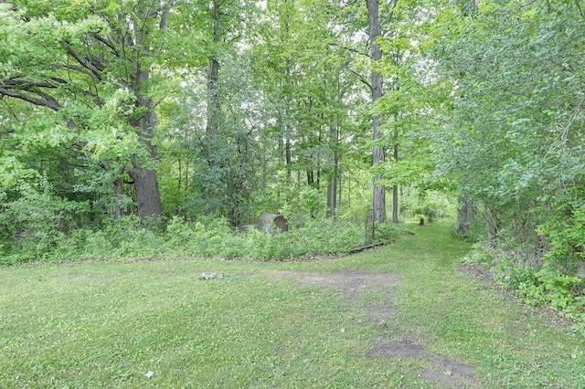 14810 28 Mile Rd, Washington, MI 48094 - view of yard with a view of trees
