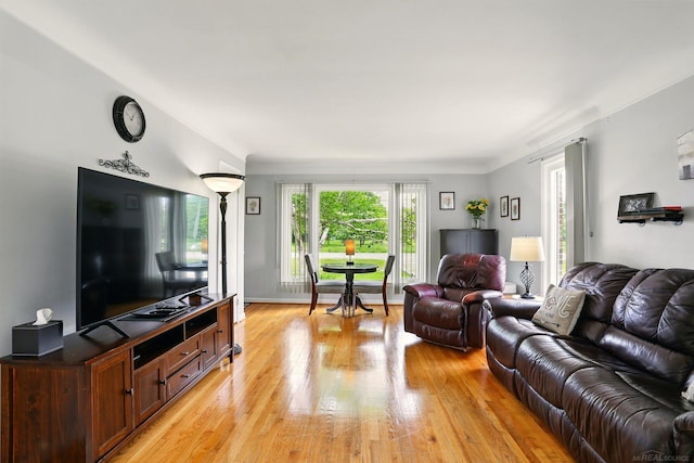 14810 28 Mile Rd, Washington, MI 48094 - living room featuring light wood-style flooring