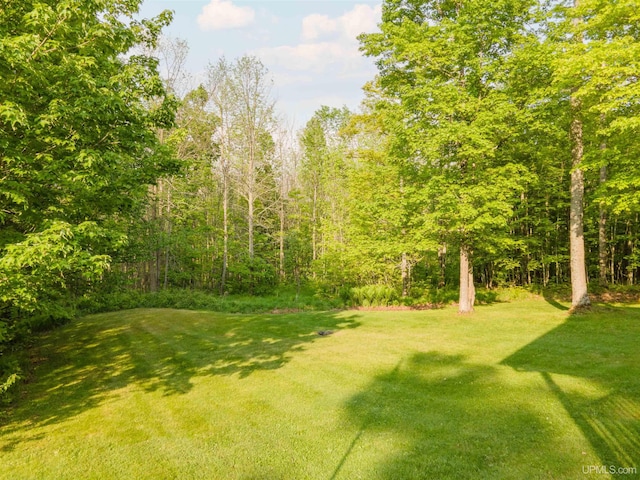 12826 Section 16 Rd, Watton, MI 49970 - view of green lawn with a forest view