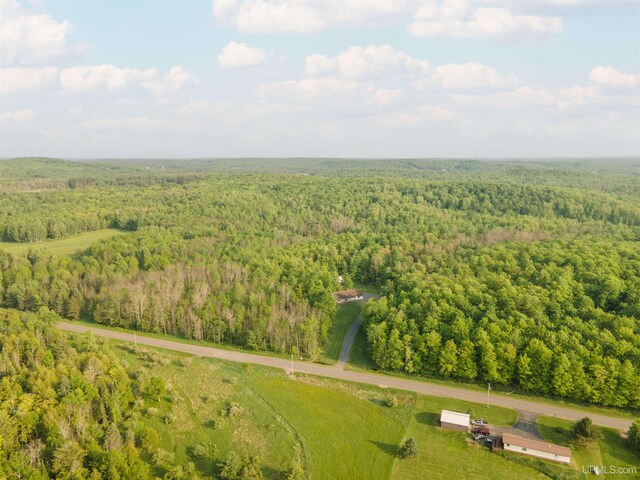 12826 Section 16 Rd, Watton, MI 49970 - drone / aerial view of a heavily wooded area
