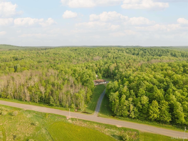 12826 Section 16 Rd, Watton, MI 49970 - aerial view of a forest