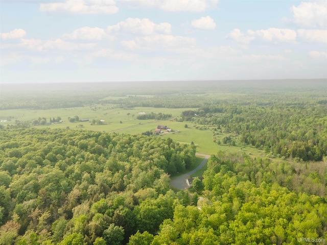 12826 Section 16 Rd, Watton, MI 49970 - drone / aerial view of a heavily wooded area