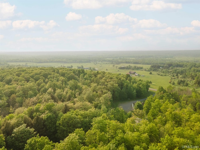12826 Section 16 Rd, Watton, MI 49970 - bird's eye view of a forest