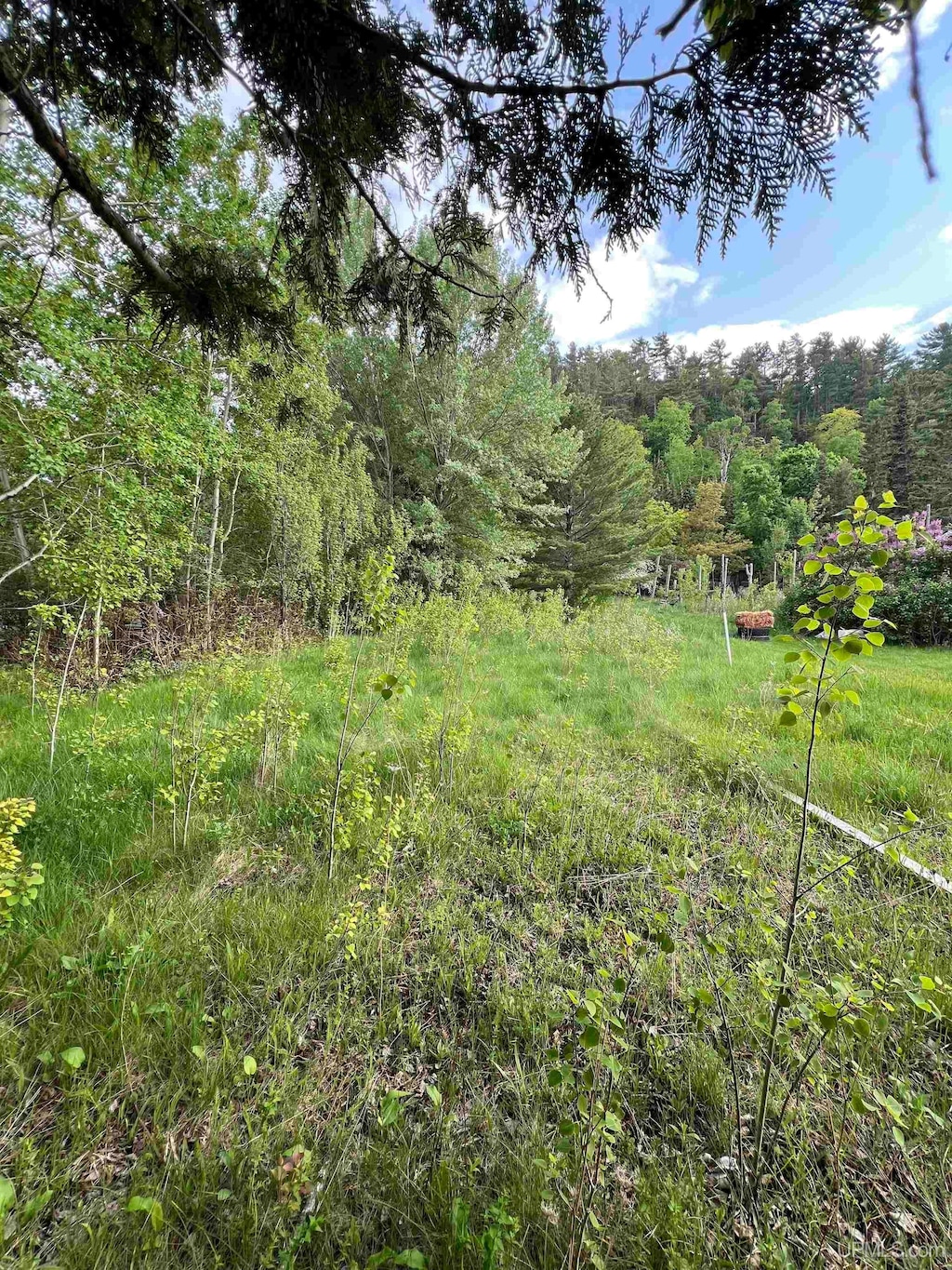 TBD Gratiot St, Copper Harbor, MI 49918