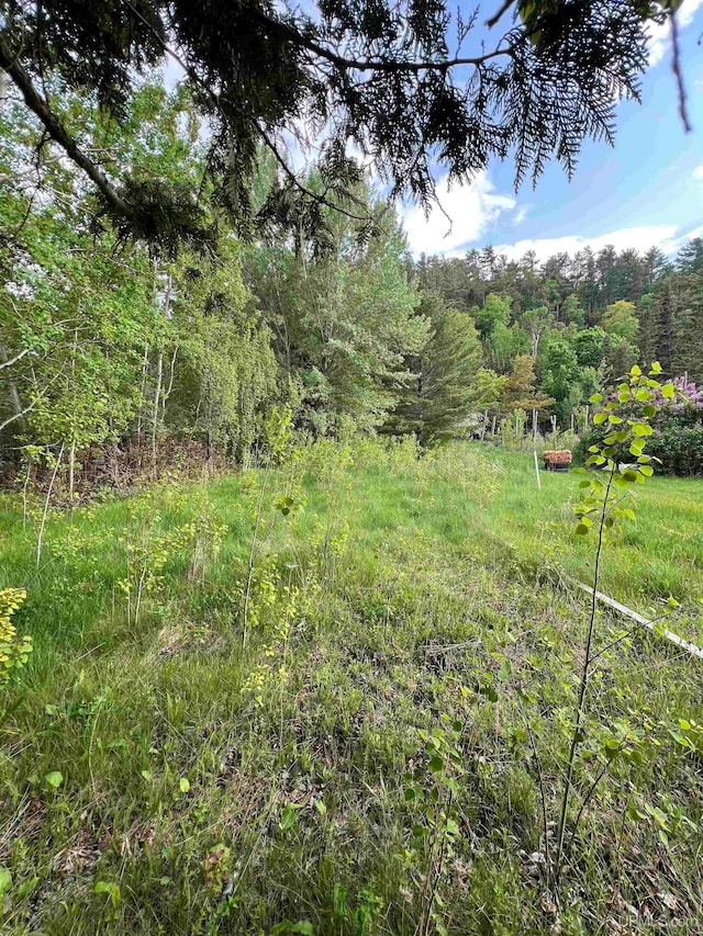 TBD Gratiot St, Copper Harbor, MI 49918