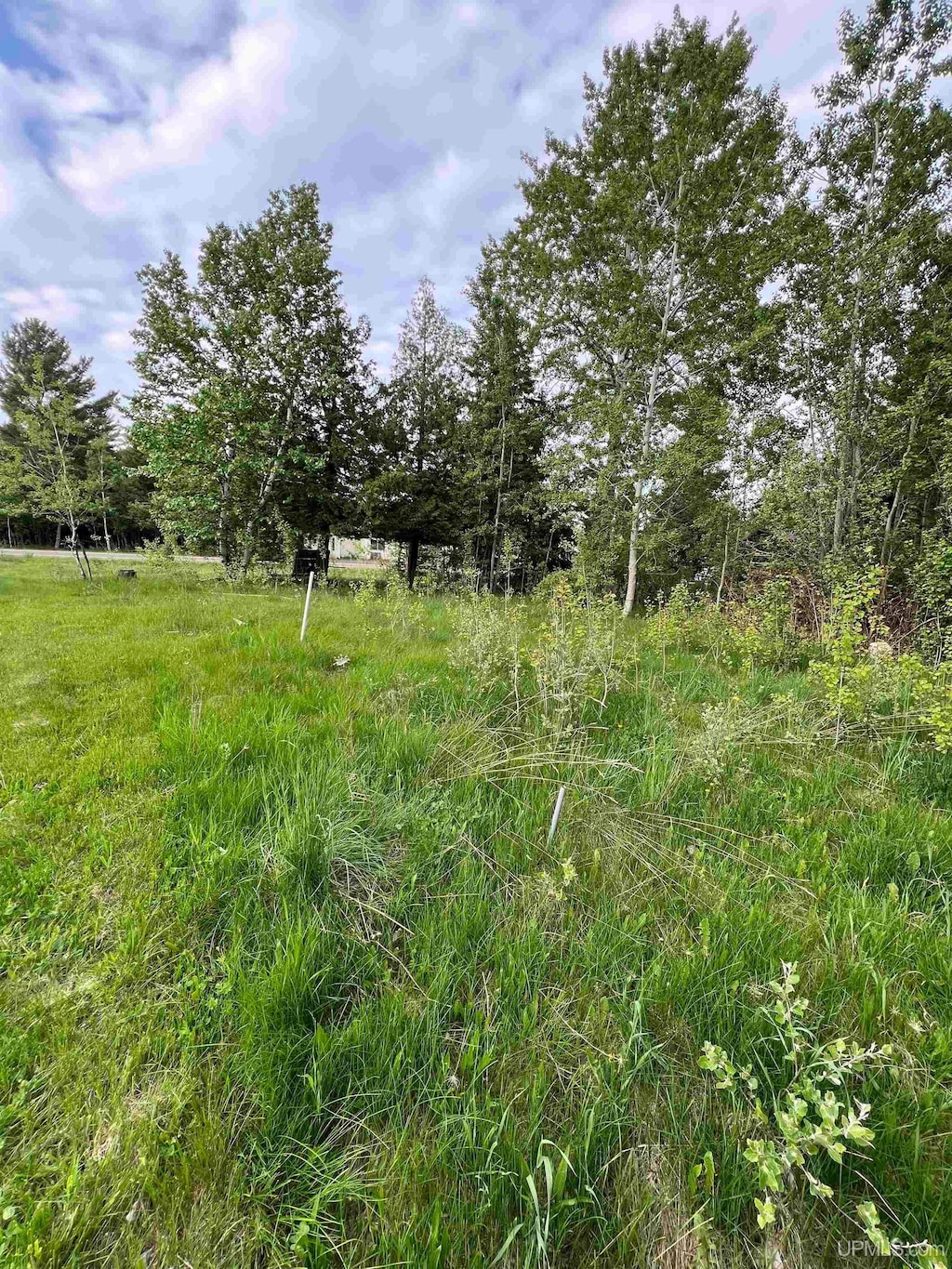 TBD Gratiot St, Copper Harbor, MI 49918