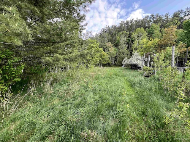 TBD Gratiot St, Copper Harbor, MI 49918
