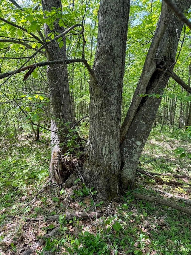 LotE Gratiot River Road, Allouez, MI 49805