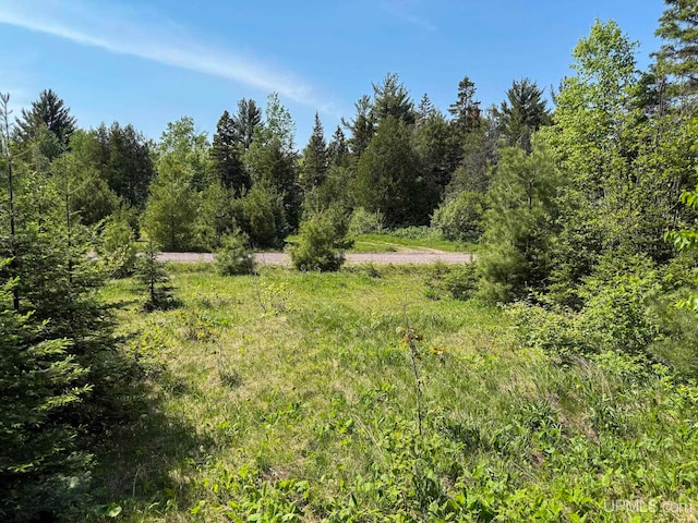 LotE Gratiot River Road, Allouez, MI 49805