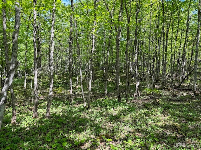 LotE Gratiot River Road, Allouez, MI 49805