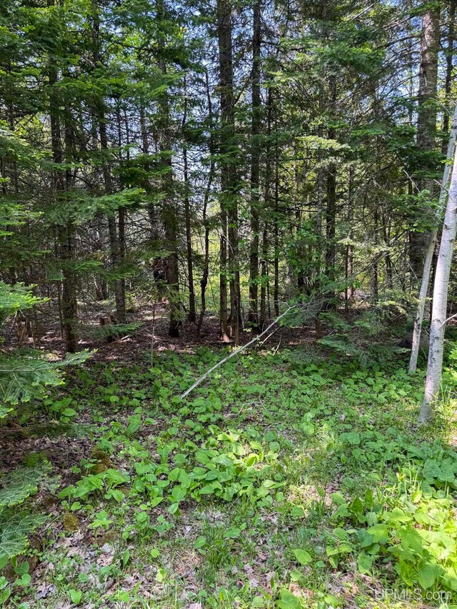 LotE Gratiot River Road, Allouez, MI 49805