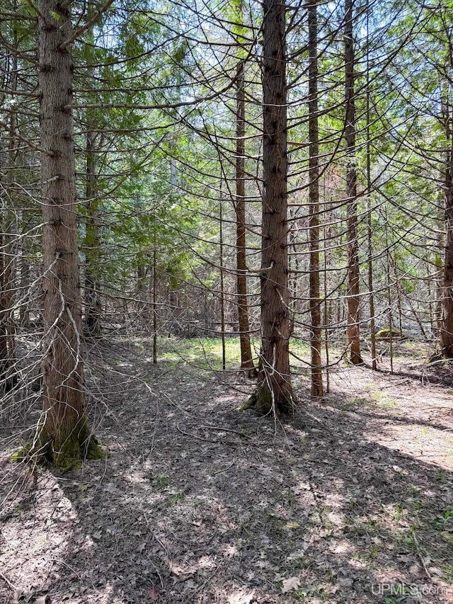 LotE Gratiot River Road, Allouez, MI 49805