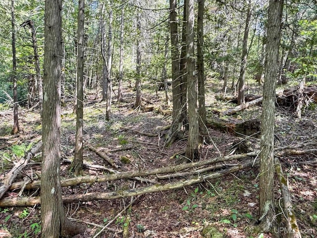 LotE Gratiot River Road, Allouez, MI 49805