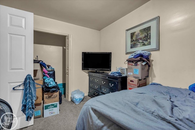 1401 Stanton St, Port Huron, MI 48060 - view of carpeted bedroom