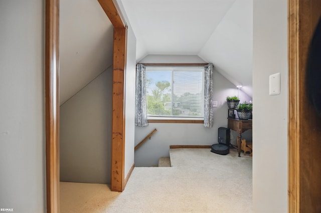 724 Columbia St, Algonac, MI 48001 - bonus room featuring carpet and vaulted ceiling