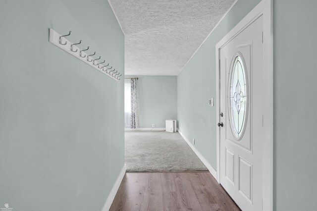 432 Eagle Pass St, Lapeer, MI 48446 - entryway featuring a textured ceiling, healthy amount of natural light, baseboards, and wood finished floors