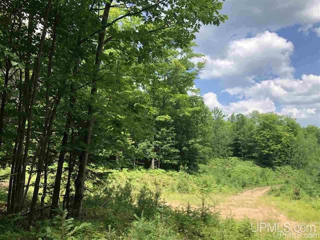 000 N Maplewood Rd, Gwinn, MI 49841