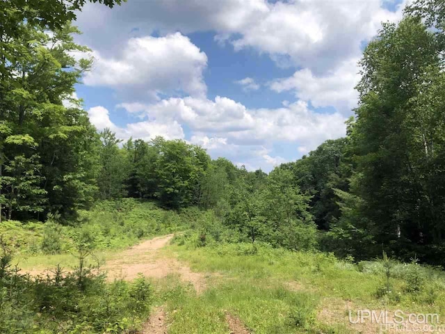 000 N Maplewood Rd, Gwinn, MI 49841